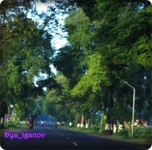 Salah satu spot jalan di Kab, Probolinggo, Jawa Timur, 31 Desember 2012