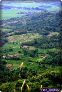 Desa Ciwaru dari Bukit Panenjoan